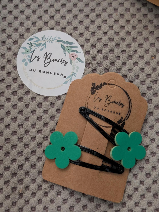 Barrette b034