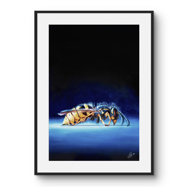 Tirage Guêpe Repos nocturne 