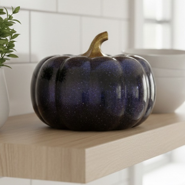 Boîte - citrouille Cosmos Pourpre