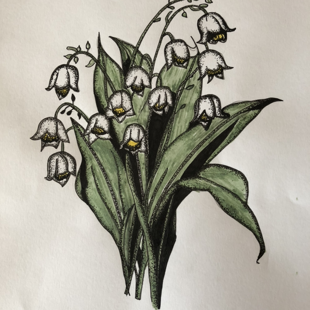 Fleur - muguet - 21 x 30 cm - encadrement 