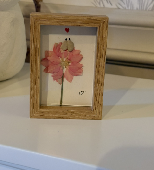 Jolie fleur…