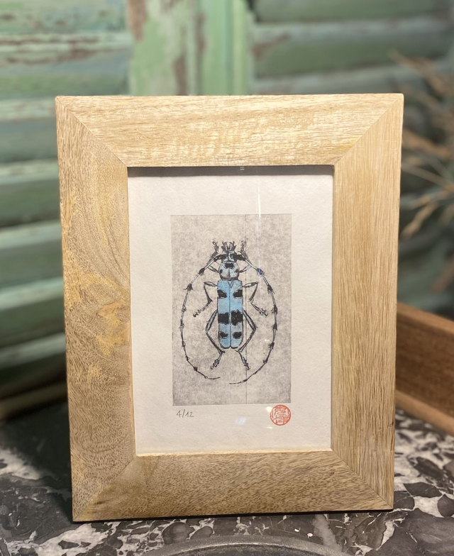 Rosalie des Alpes - Tirage 4/12