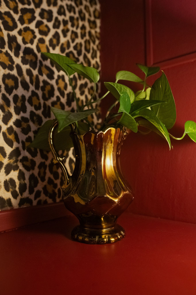 Baroque Roots 🖤 Pichet Holographique + Boutures