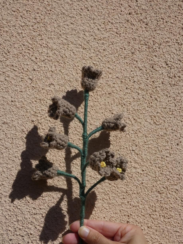 Clochettes marron clair