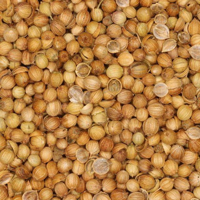 Korianderzaad (Coriander seeds) (Coriandrum sativum) - BIO