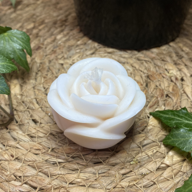 Mini rose