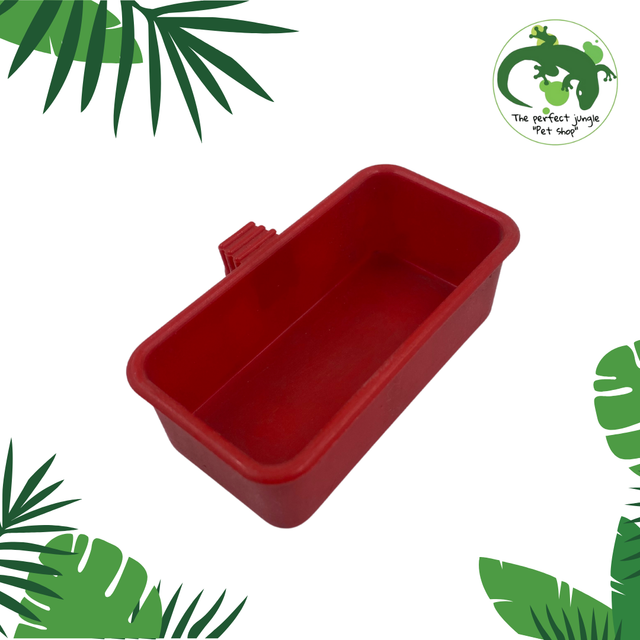 Cubo para comida de Ave, color rojo