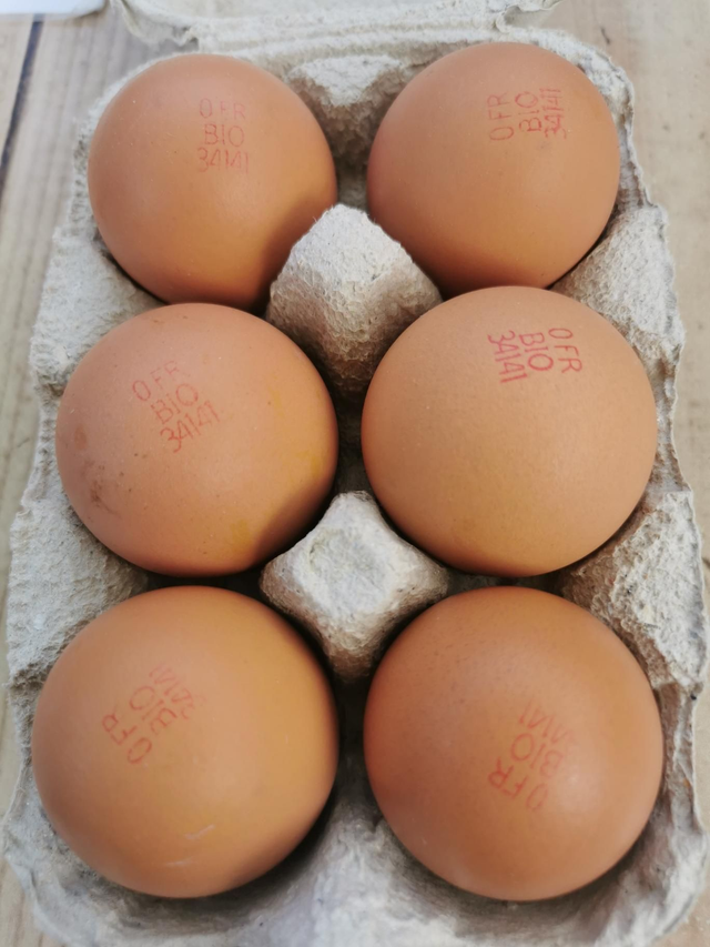 6 Œufs Bio M