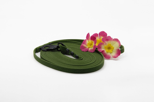 Longe Hexa 5 m – Balades &amp; éducation (pour les chiens de moins de 15 kg)