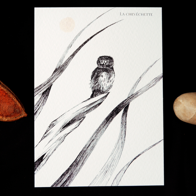 Carte postale A6 "La chevêchette"