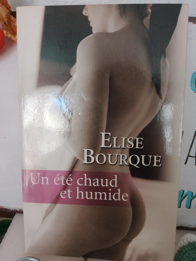 Un été chaud et humide, Elise Bourque