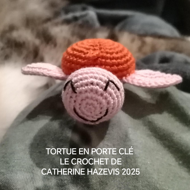 2025 TORTUE EN PORTE CLÉ 