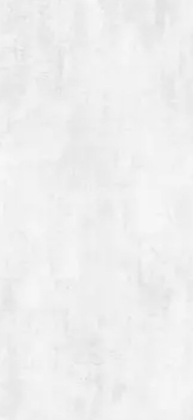 KERMOS/RAW Aluverbundplatten !Z Concrete Light Grey 2550x1250x3 mm