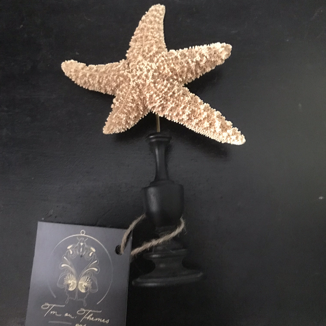 Étoile de mer 