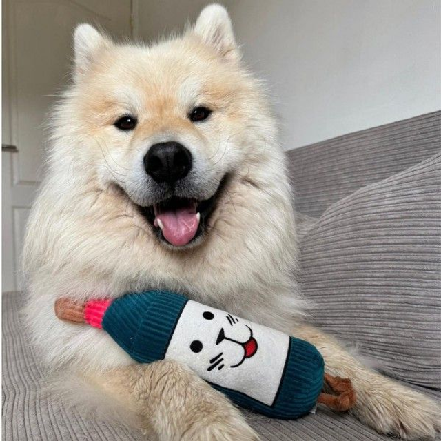 JOUET pour chien Peluche BOUTEILLE DE VIN MARTIN SELLIER.