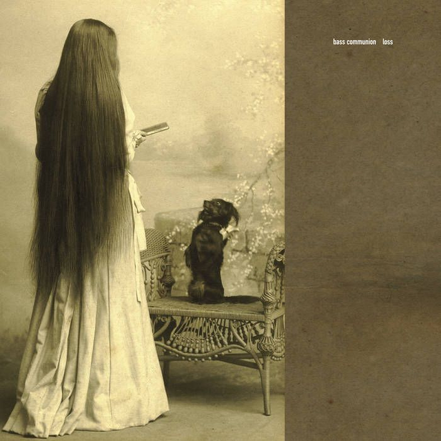 Bass Communion - Loss [CD]/VSN