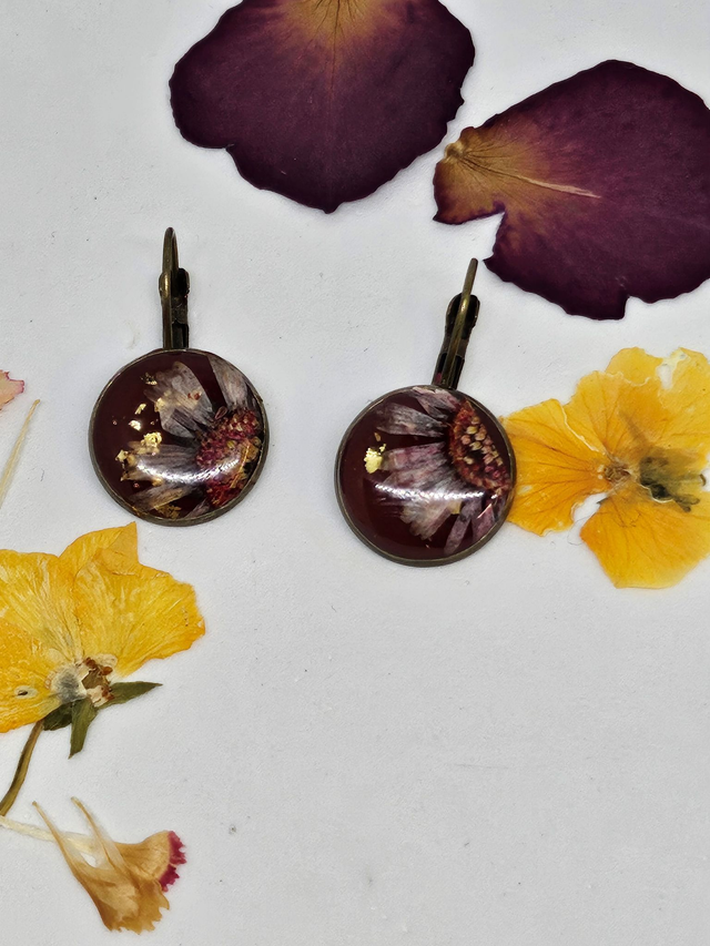 Boucles d&#039;oreilles