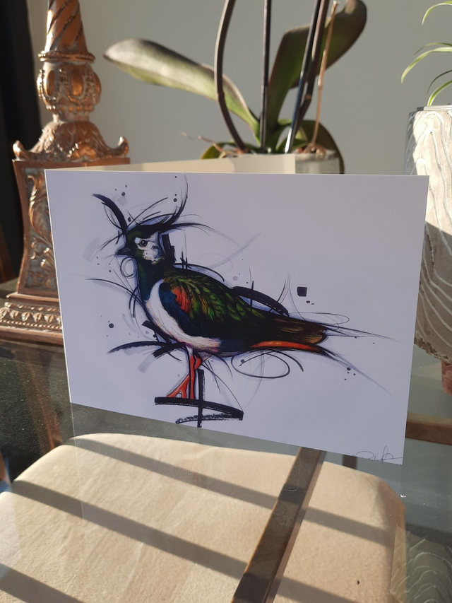 A Lapwing, A5, Greeting Card 