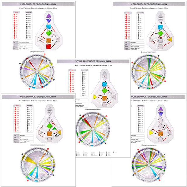5 rapports individuels de Design Humain
