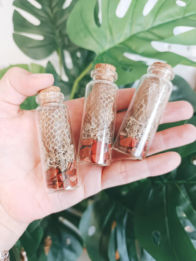 FIOLES - MUE DE SERPENT (grandes)