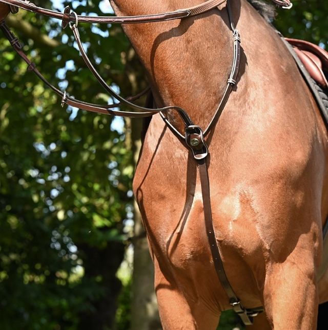 Martingale JUMP'IN à anneaux Week