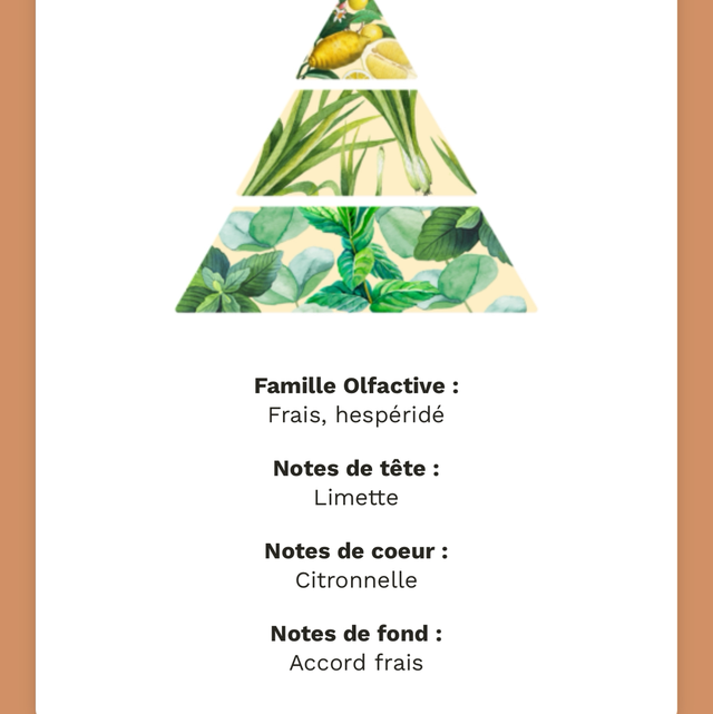 Bougie Coco - Citronnelle