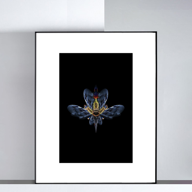 Imago Gris | Tirage 3/8