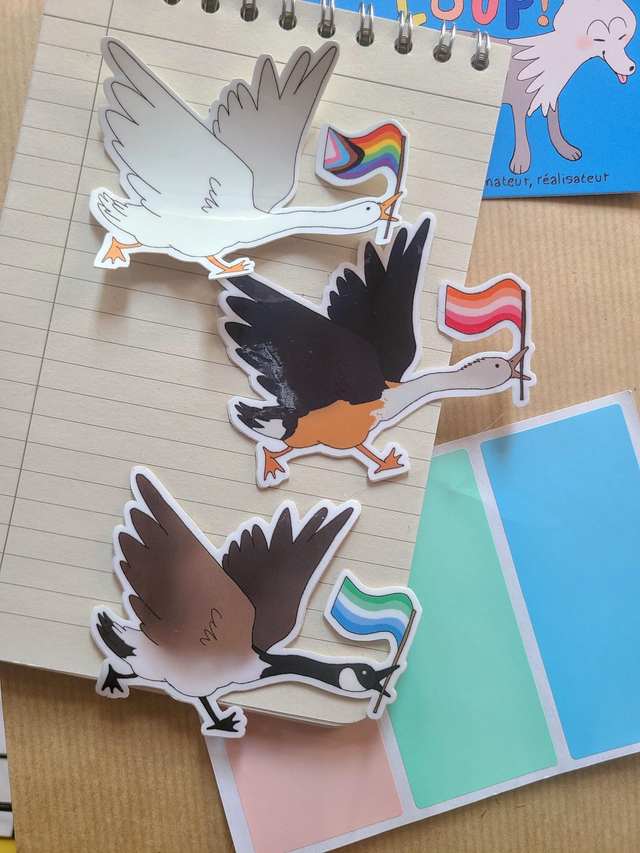 Goose Pride (different choices!)