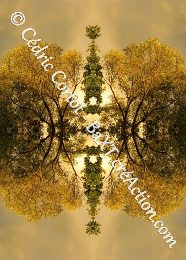 Carte postale - Entre réel et irréel (Ref IMG_1476 R3)