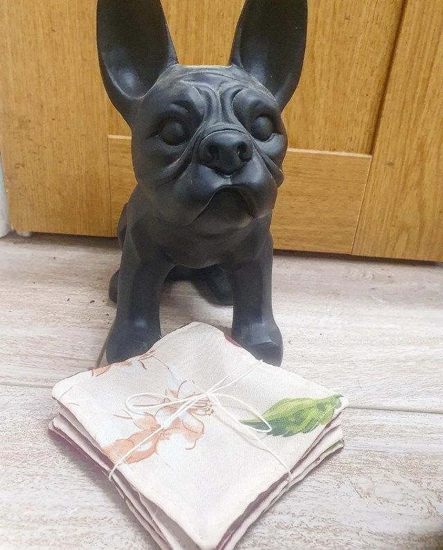 Lot de 5 Lingettes Lavables 