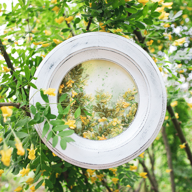 ACACIA | Botanical Study