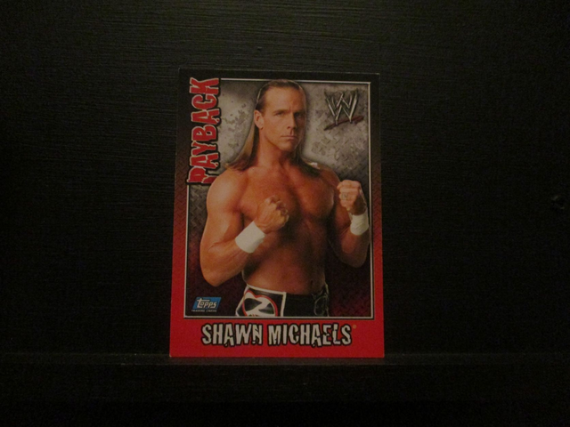 Shawn Michaels - Payback Original Trading Card #1