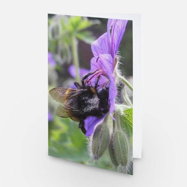 Bee on geranium flower greeting card 