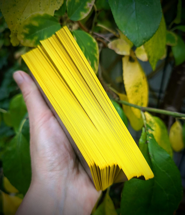 Honey & Lavender Tarot: fairy tale and fantasy deck * by Lida Pavlova & xié