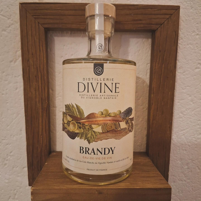 Brandy - eau-de-vie de vin 