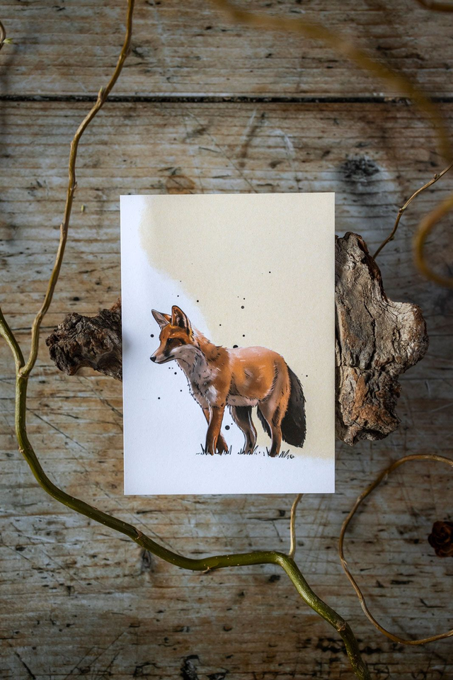 Illustration RENARD -  Format A6 ou A5