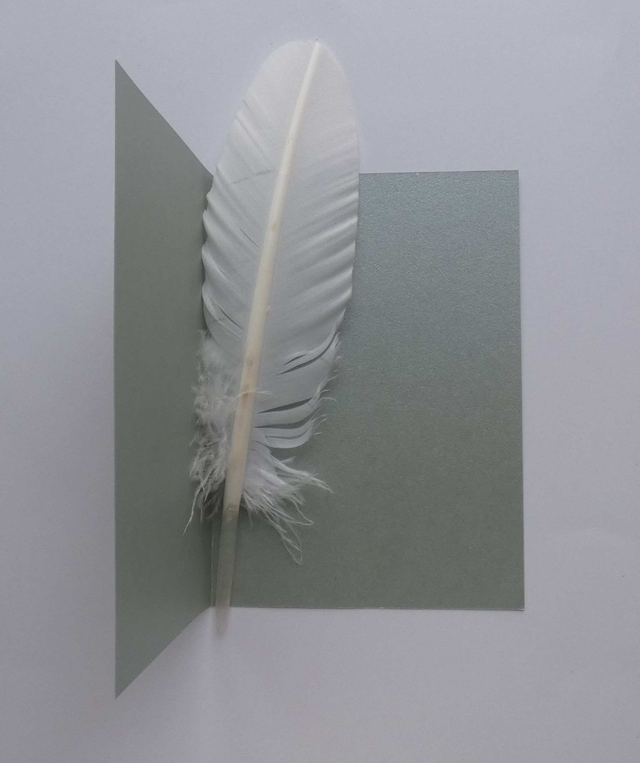 L'étoile des bonnes fêtes de fin d'année