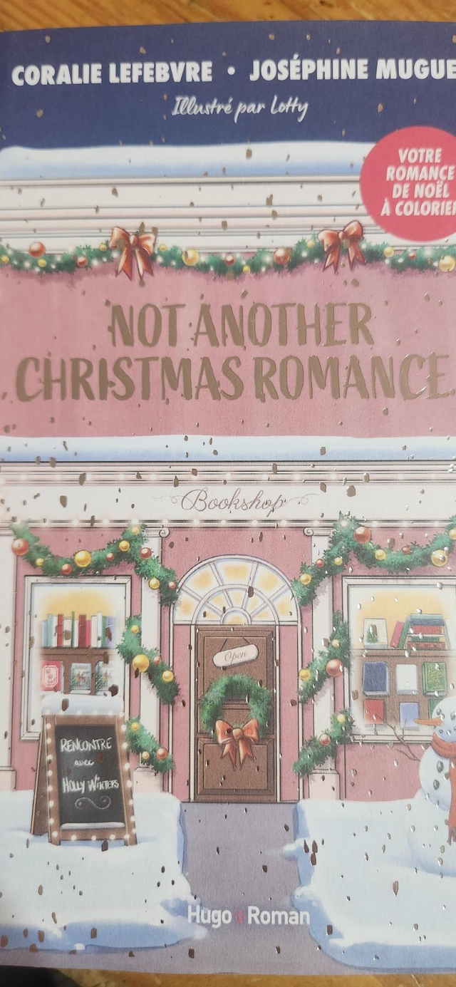 Not aborder Christmas romance 