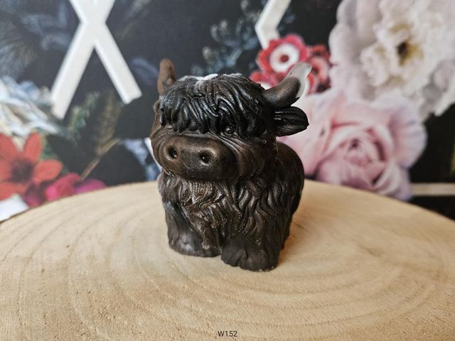 Highlander Coco (W152)