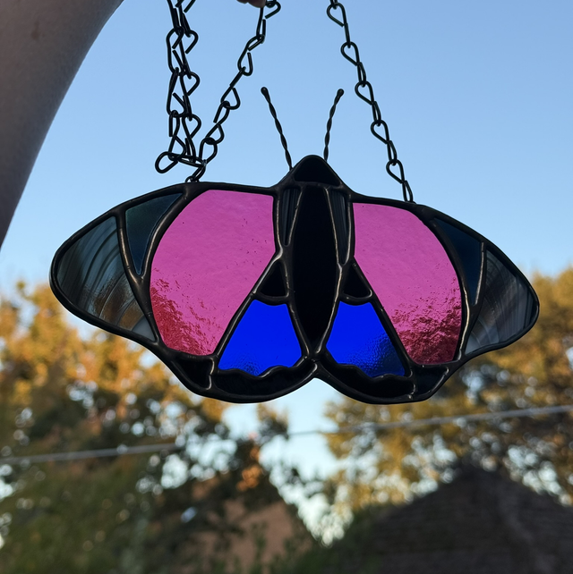 Pre-Order - Agrias Claudina Butterfly 