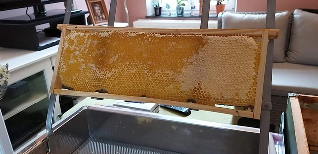 Miel en cadre - cadre complet - prix au kilo