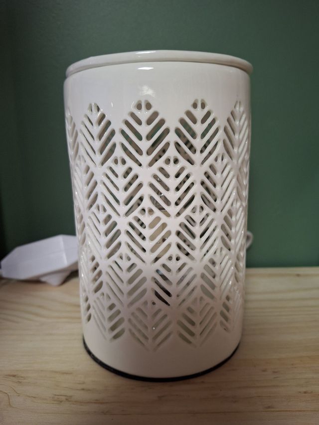 Brûleurs électriques