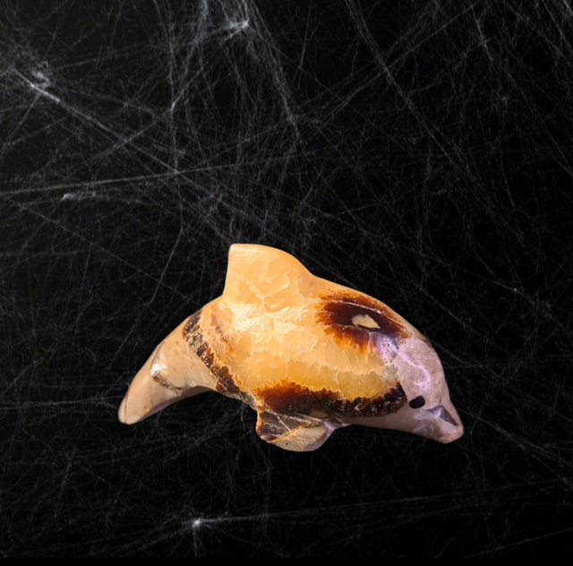 Dauphin Septaria