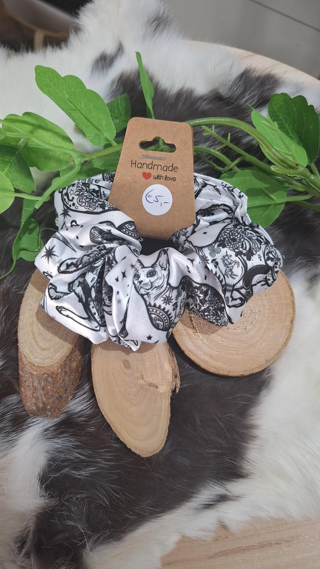 S-010. Supernatural Cat