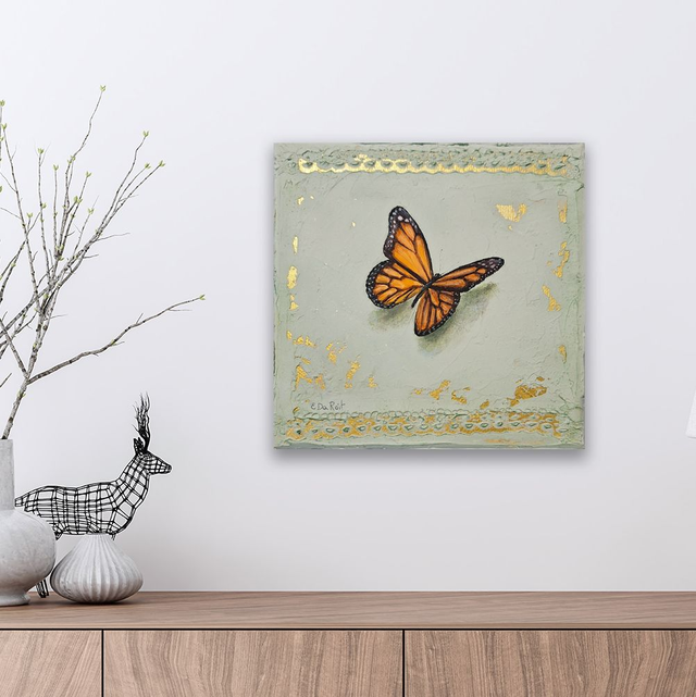 Farfalla Danaus plexippus