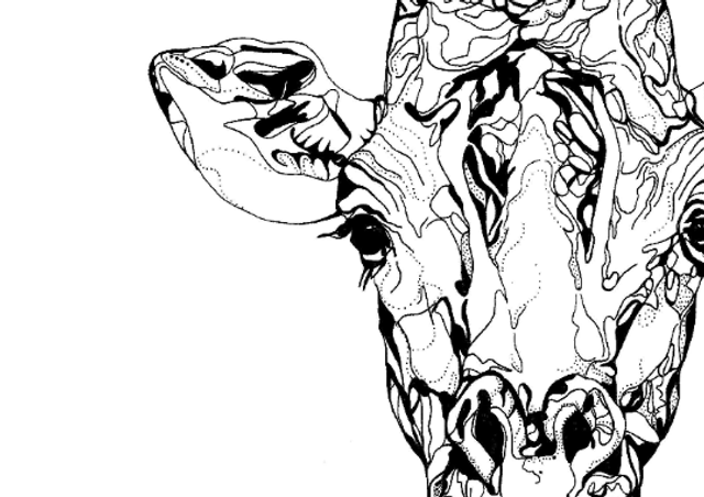 B&W A3 print - giraffe