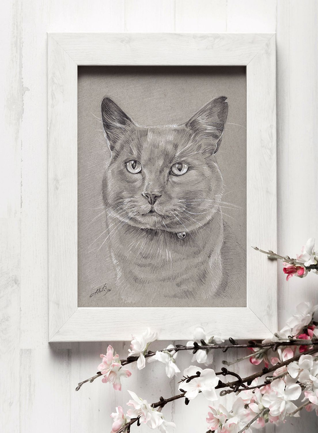 Custom Pet Portrait - Pencil Drawing on Paper
