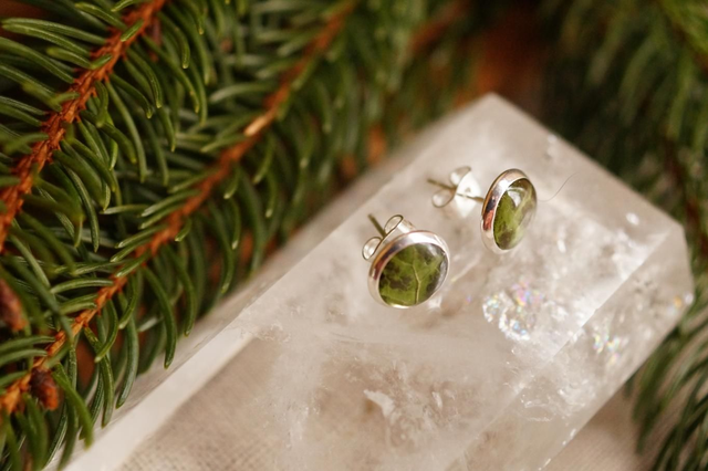 Clous d'oreilles - Lierre