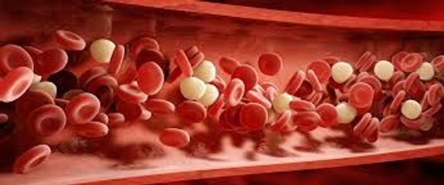 Coagulación básico