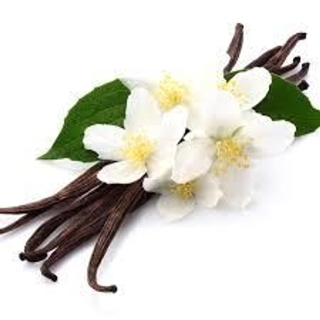 Vanilla 